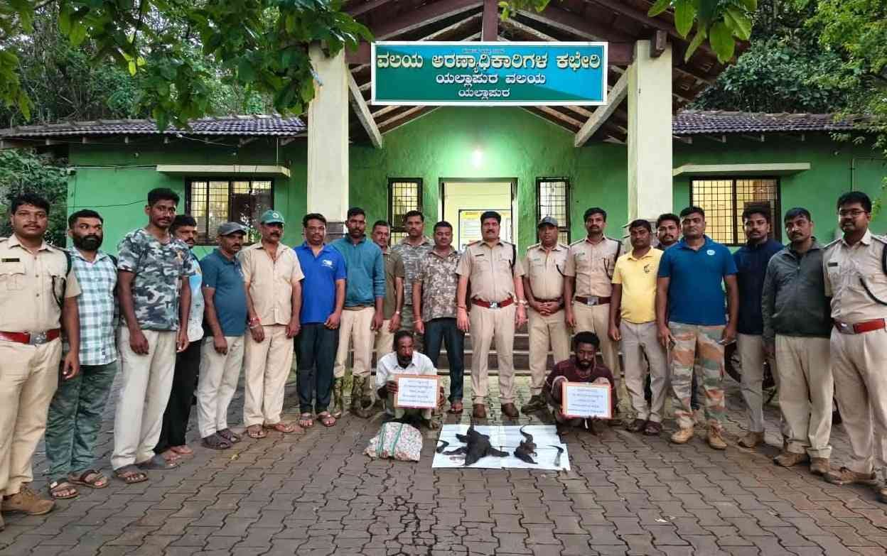 ಉಡ ಬೇಟೆಯಾಡಿ ಜೈಲು ಸೇರಿದ ತಂದೆ-ಮಗ! — photo 2
